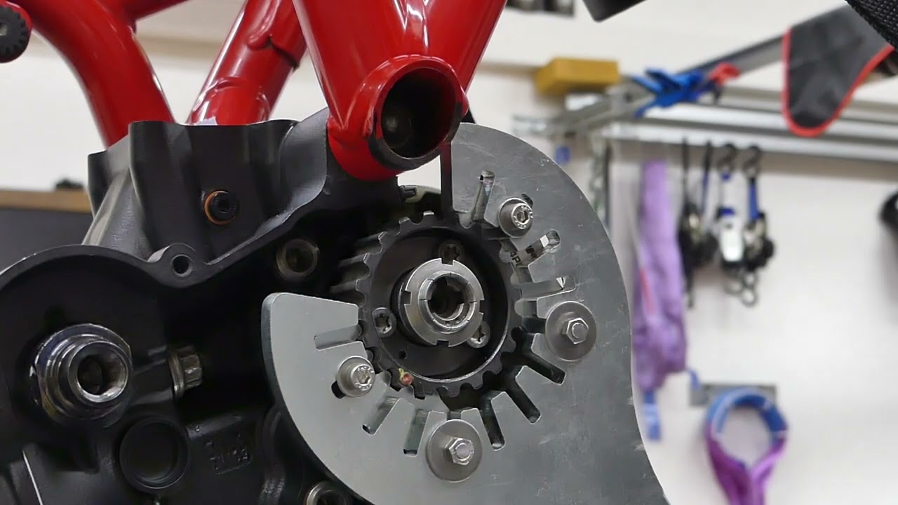 Ducati Monster 821 -- Teil 54 -- (Sich) Am Riemen reißen und Steuerzeiten einstellen 😎