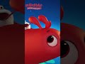 The Red Balloon | BEST OF Morphle! #morphle #shorts