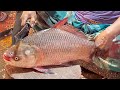 Big Katla Fish Cutting Skills In Fish Market | Fish Cutting Skills