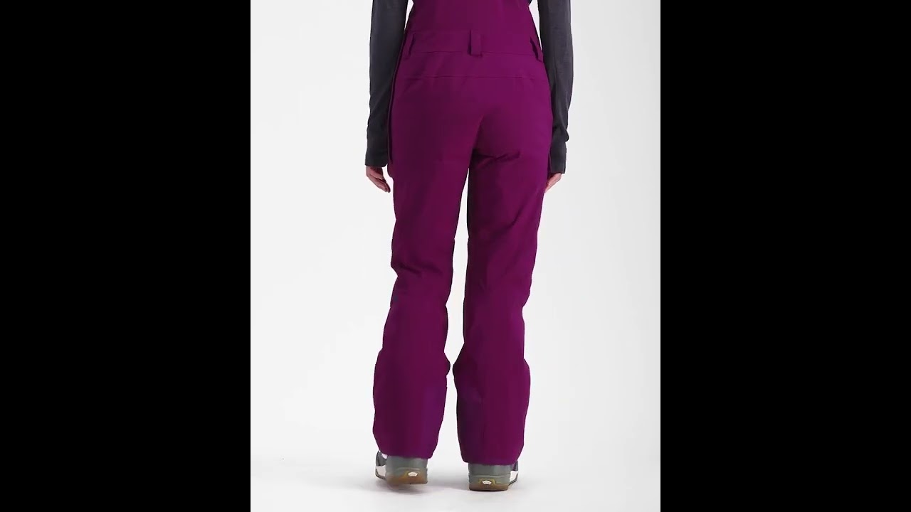 The North Face - Freedom Insulated Bib Pant - Women's