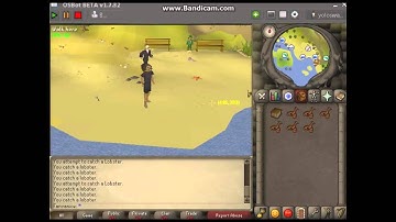 OSBOT Old School Runescape Bot 2007  DL + TUT