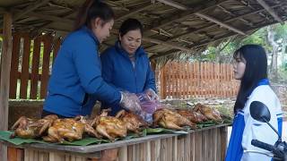 Download Lagu Traditional Chicken Raising and Selling Hot Grilled Chicken MP3