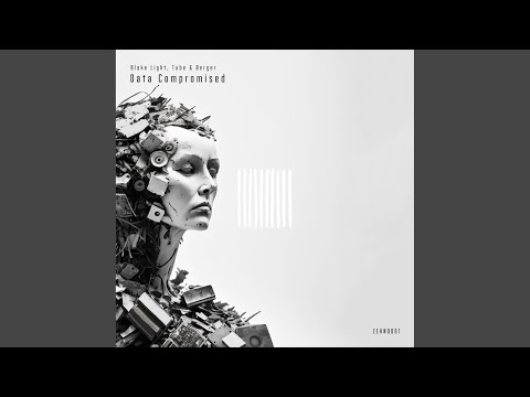 Blake Light & Tube & Berger - Data Compromised