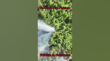 AMAZING VIEW OF HOW TO STOP THE WILDFIRE #dailyvlog #wildfire #firefighter #fire #shorts #short