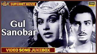Gul Sanobar - 1953 - Movie Video Songs Jukebox | Shyama, Shammi Kapoor | Hindi Old Bollywood Song l