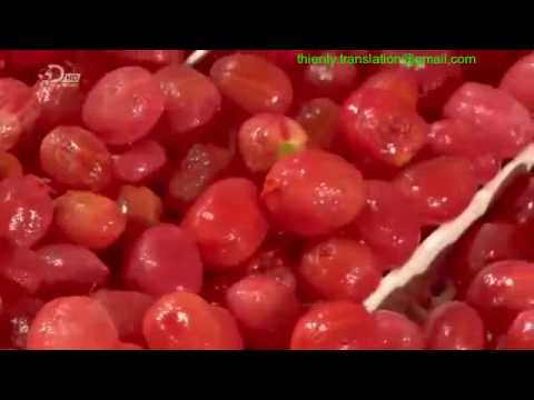 Video: Làm thế nào để bạn caramelize cà chua đóng hộp?