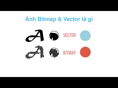 2 loại ảnh Bitmap và Vector - Cau28x