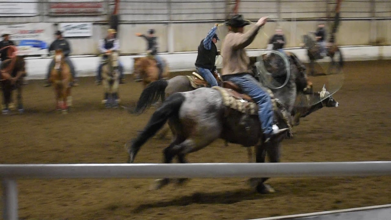 Team Roping Videos YouTube