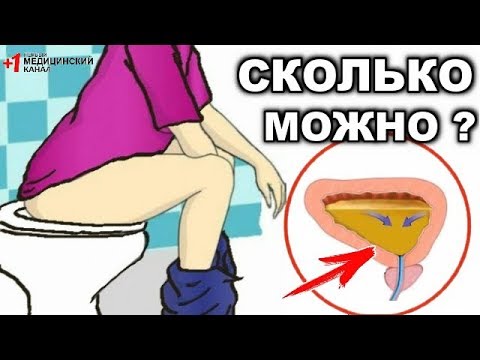 Сколько раз должен писать в день здоровый человек?