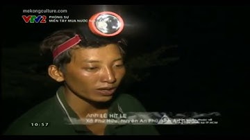 Mùa nước nổi bắt rắn nước ở An Giang