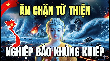 Ăn Chặn Tiền Từ Thiện: Cái Giá Đắt Của Lòng Tham – Nghiệp Báo Không Tha!