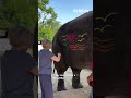 Untitled video