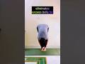 How Humility Can Make You More Powerful :Padhastasan #shorts