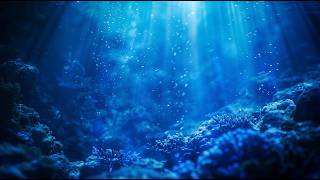 Midnight Ocean Lights