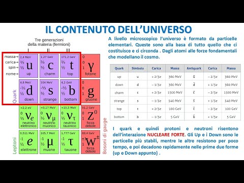 Le Particelle Elementari della Materia, dell&rsquo;Antimateria e delle Forze