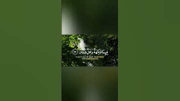 سورة الرحمن شيخ عبد الرحمن السديس بصوت جميل ♥️#قرآن