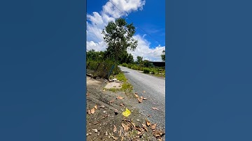 Ngộp nặng bán gấp căn nhà cấp 4 mặt tiền đường nhựa giá 850 triệu TP,Vị Thanh Hậu Giang