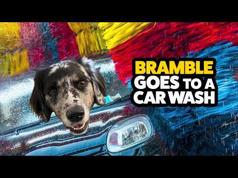 On a related note, here's a video of Bramble the dog (who you might recognize from <a href="https://www.thedrive.com/category/will-it-dog" target="_blank" rel="noreferrer noopener">her car reviews</a>) experiencing her first automated car wash. She was more curious than concerned.