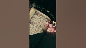 ما تيسر من القران الكريم #قرآن #اكسبلور #تلاوة_خاشعة #قصص_واقعية #قصص#quran #تيك_توك #راحة_نفسية
