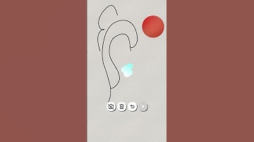 26 August 2025