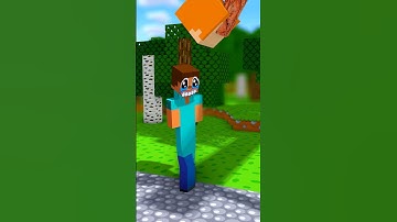 Short Steve and Long Steve - Alex and Steve Adventures #minecraft #shorts