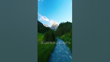 قران كريم | سورة المؤمنون | الشيخ ياسر الدوسري  #قران_كريم