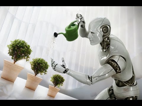 Robot Chores - YouTube
