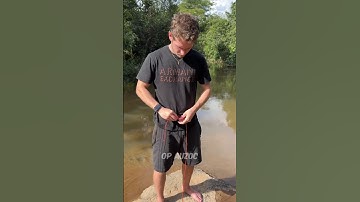 Truth Behind the Viral Magnet Video! 😮 #shorts #magnet #truth