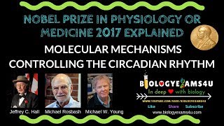 Circadian Rhythm - Nobel Prize in Physiology or Medicine 2017 Explained