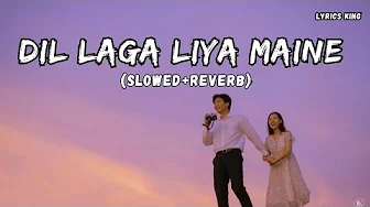 Dil Laga Liya Maine (Slowed+Reverb) Alka Yagnik & Udit Narayan Lofi Song Dil Laga Liya Maine (Slowed+Reverb) Alka Yagnik & Udit Narayan Lofi Song