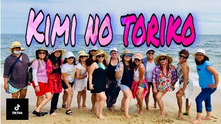 KIMI NO TORIKO REMIX | DJ SUMMERTIME | ZUMBA | TIKTOK |POP | Choreography by ZIN JOEL