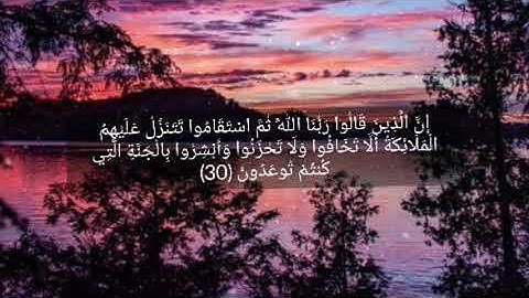 آيات السكينة والطمأنينة|| قران بصوت جميل جدا|| قران حالات واتس اب قصيره مقاطع انستقرام