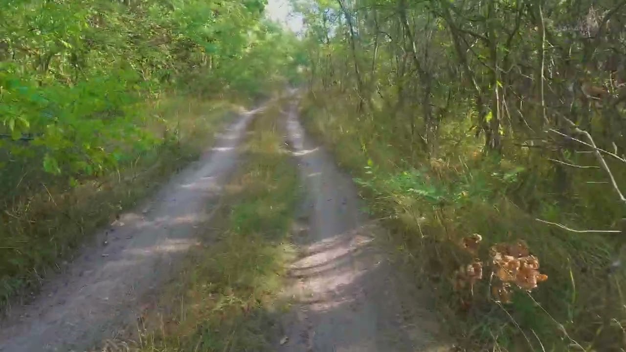 На плаж през пясъчните дюни