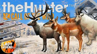 SO MANY DIAMONDS in ONE GROUP HUNT!!! (SHOCK WARNING!!!)
