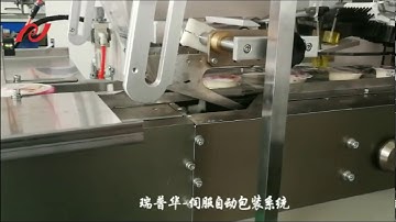 瑞普华伺服包装机ZP-500S