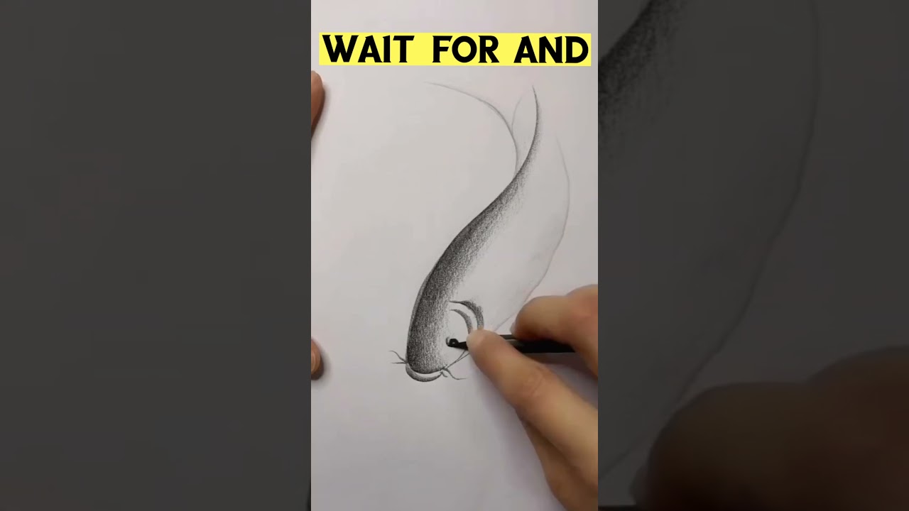 Beautiful drawing 😍🎨