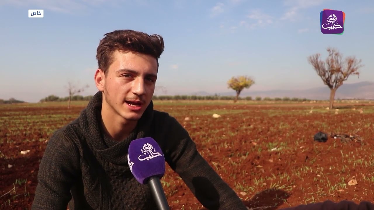 بدء موسم صيد طائر الحسون في عفرين شمال حلب