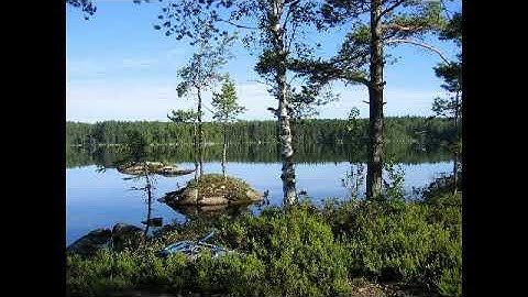 سورة ٱل عمران بصوت القارئ أشرف عبده درويش