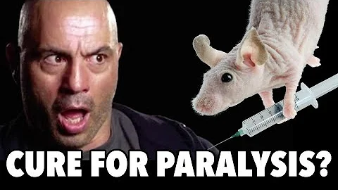 A Single Injection to Cure Paralysis? Joe Rogan Responds!