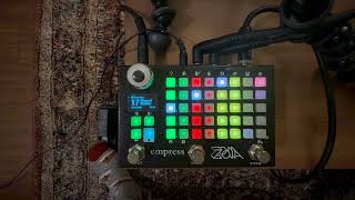 Chord Buddy Zoia Demo