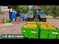 Making 2,500L of APPLE JUICE | Hof Bergmann| Farming Simulator 2019 timelapse #8