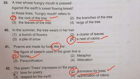 tet 2023 paper 1 key answers #english #tet #2023 #keyanswers | Paper 1 tet key answers