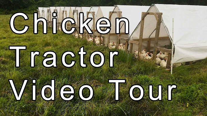 Chicken Tractor Video Tour