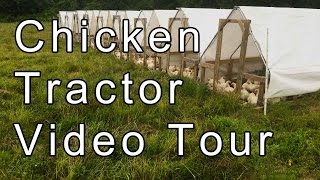 Whether you are homesteading or raising chickens for profit, this DIY chicken coop is perfect. SUBSCRIBE: http://bit.ly/2uw8eV3 