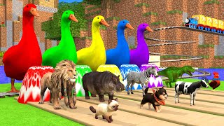 Animals Crossing Fountain With 5 Giant Duck Cartoonrabbitlioncatdoghippocowdinosaurchicken