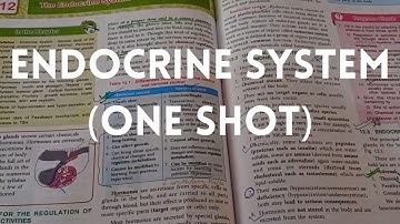 The Endocrine system one shot video ICSE class 10th Biology chapter