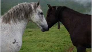 Bulgaria Travel Varna.wmv