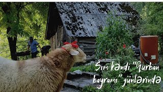 ASTARANIN SIM KƏNDİNDƏ "QURBAN BAYRAMI" GÜNLƏRİ🍀☘️🌿 / #new #vlog #astara #sımkəndi