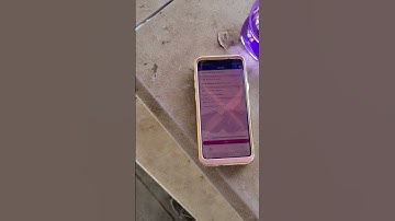 Healy tune up for your horse, the scan finds everything! 🐎