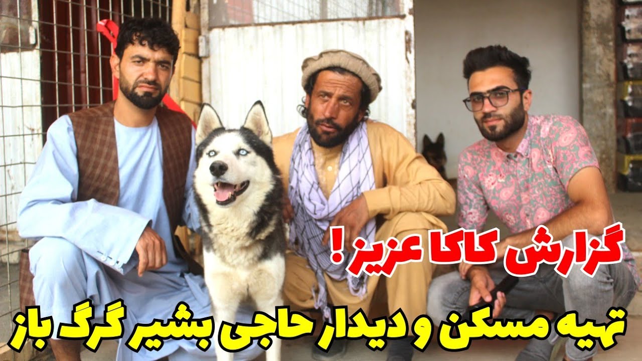 گزارش کاکا عزیز از گرگ فروشی/ دیدار با حاجی بشیر تهیه مسکن.